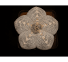 Астрофитум многокрапинковый "Онзука" (3 шт.) / Astrophytum Myriostigma cv. Onzuka